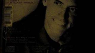 LARRY CARLTON - OUI OUI SI.- A GREAT JAM
