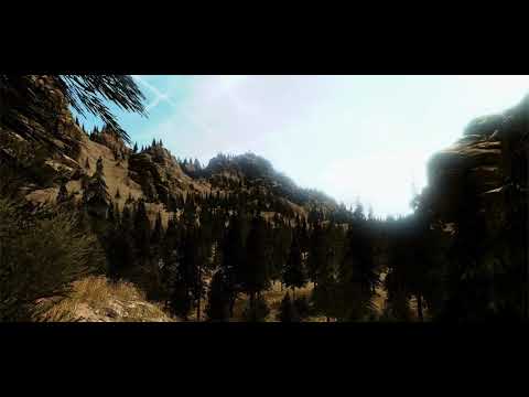 VR Forest Relaxation 3