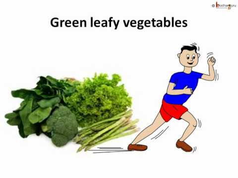 Science - Human Body Food - Part 2 - Telugu