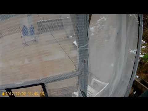 ZKS zawody PiRO tor 3, 02.12.2017