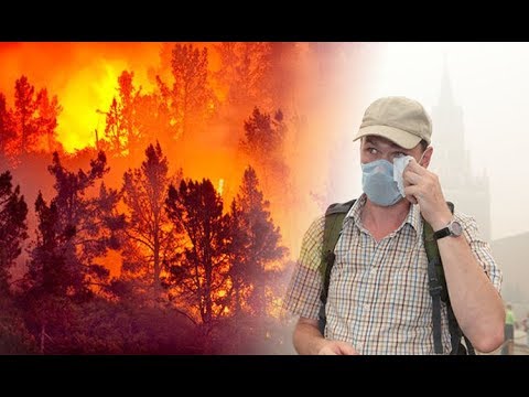 Click to Watch the Yes, human-induced global warming is responsible for global heatwave and here's how we know video