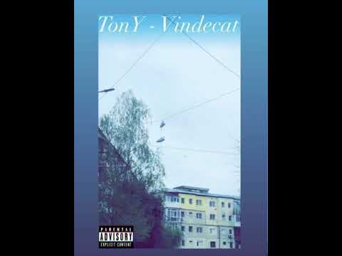 TonY - Vindecat