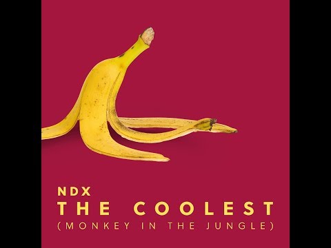 NDX - THE COOLEST (MONKEY OF THE JUNGLE) Lyrics Video