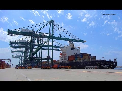 Porto de Sines visita ao Terminal XXI