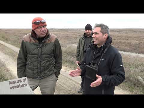 Natura si aventura: Pe urmele șacalilor din Delta Dunarii, prima parte