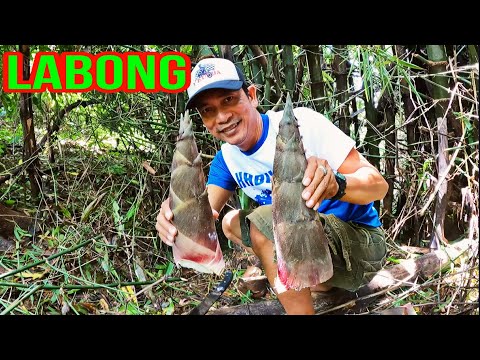 Simpleng ulam sa Tag-ulan Part 1