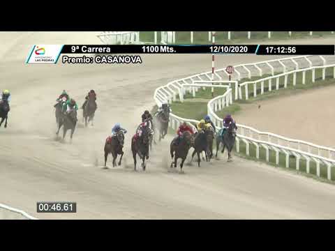 201012 c09 - EL NEGRO OLMEDO 1º - HIPODROMO LAS PIEDRAS