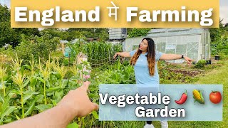 Grow Your Own VEGETABLES In ENGLAND | FARMING In ENGLAND | Indian YouTuber In England