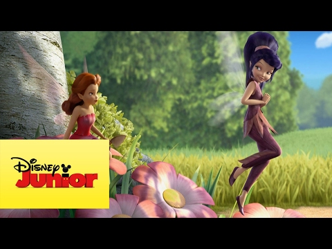 Disney Hadas - Con Todas las Chicas