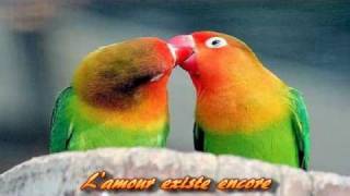 L'amour existe encore / avec paroles