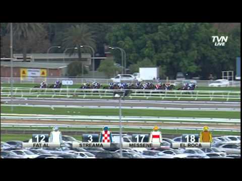2014 The Star Doncaster Mile - Sacred Falls