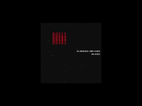 Sin ft Dimitri Masso & Sammy o Salmista - Rosas | Prod. by DQ Beatz