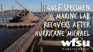 preview picture of video 'Gulf Specimen Marine Lab Recovers After Hurricane Michael'
