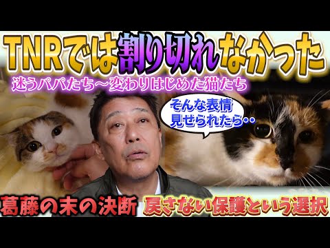 迷いながら選んだPNM― 変わりゆく猫たちとパパの想い ―