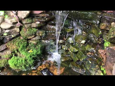 Kyocera DuraForce PRO 2