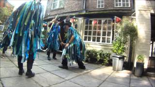 preview picture of video 'Lorenz's Butterfly Dance at Spread Eagle Lymm, 13-Jul-2014'