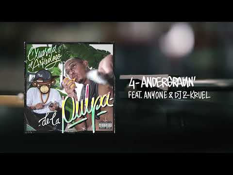 L'Xuasma & El Arkeólogo - ANDERGRAUN' 🕳️ feat. Anyone/Cualkiera & DJ Z-Kruel [Audio]
