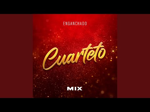 Cuarteto Mix: Por tu Amor / Amor de amigos / Sofia /Por lo que yo te quiero