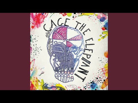 Drones In The Valley - Cage the Elephant