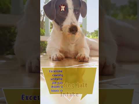 Dog Nutrition and Diet - Limiting Salt Intake