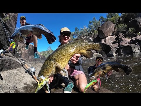 Gorge country Murray cod fishing. ( Fishing Australia ).
