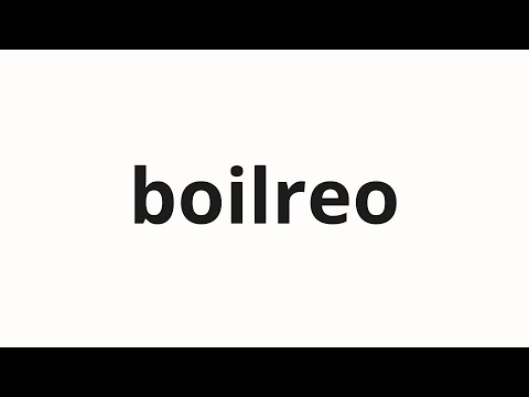 How to pronounce boilreo | 보일러 (Boiler in Korean)