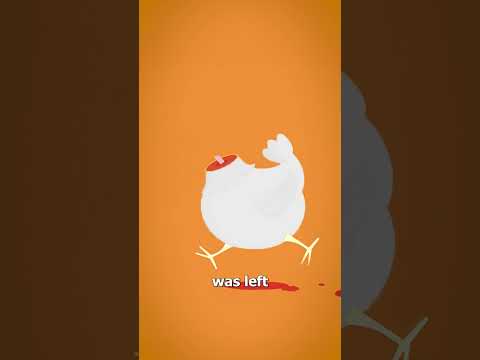 The Headless Chicken That Lived 🐔