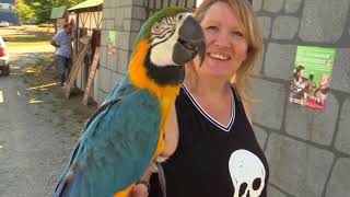 Preparations for opening of Renaissance Festival