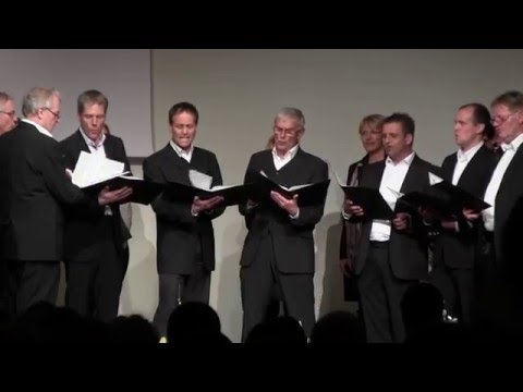 Männerensemble Phaeno:men  ......   S`Lebm is wia a tram