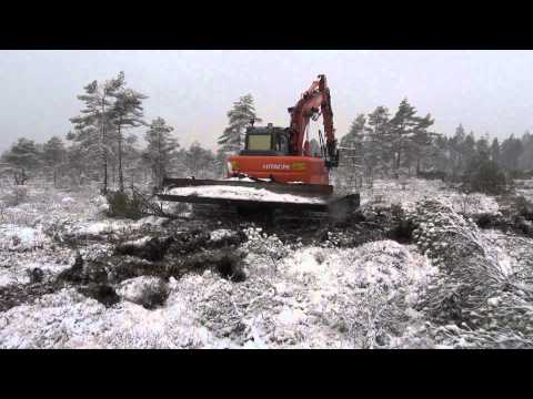 Drakamyr röjning av skog