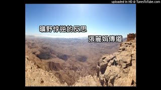 曠野悖逆的反思