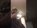 Hot Pussy