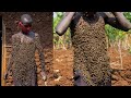 A Man Covered With Thousands Of Bees On His Body : EXTRAORDINARY PEOPLE