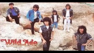 Download lagu Wild Age - Api mp3