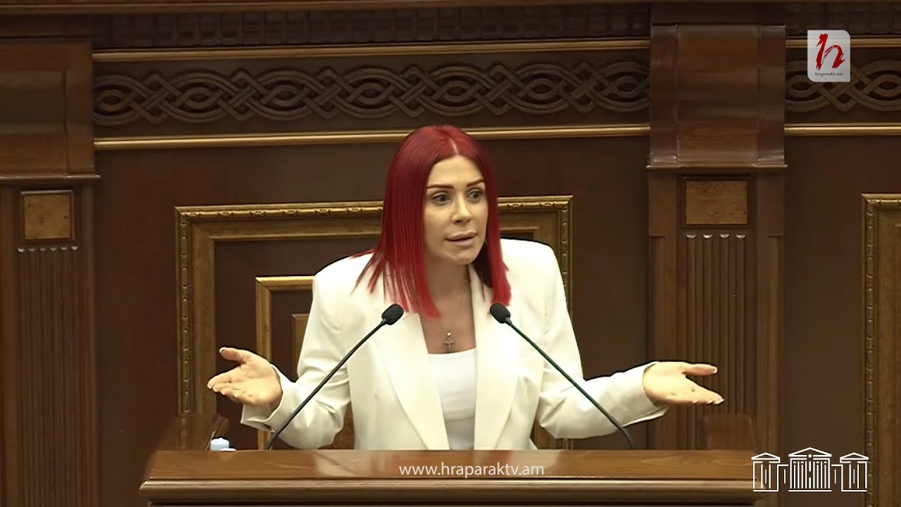 Դուք նույնիսկ Սամվել Կարապետյանի նկարների դեմ եք կռիվ տալիս. Խամոյանը՝ իշխանությանը