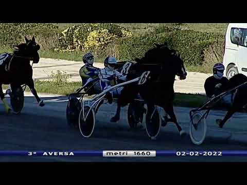Aversa trotto 2 Febbraio 2022 - 3° Corsa