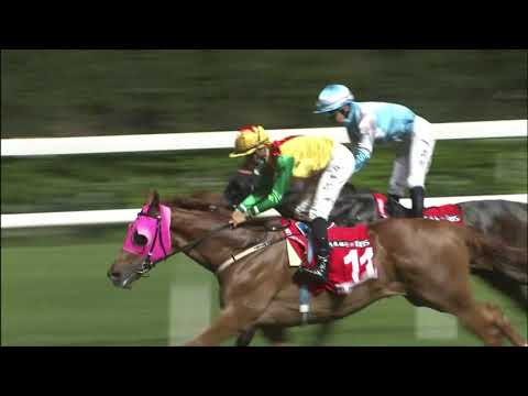 22/9/2021 (53) Meaningful Star - Vincent Ho