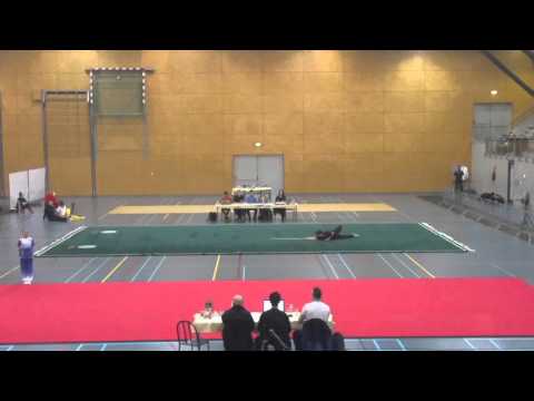 Open Dutch Wushu Championships 2016 Wesly Yiu