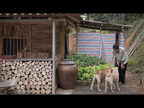 Simple Daily Life After Homelessness | A Girl’s New Beginning