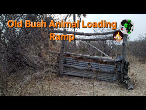 Innovative Bush Loading Ramp for Efficient Access
