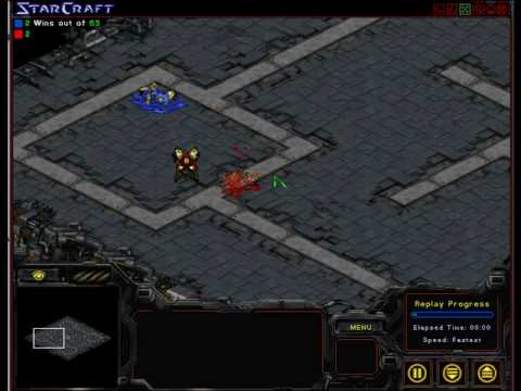 ioriyagami v.s. anyclanrcruitme gosu micro war