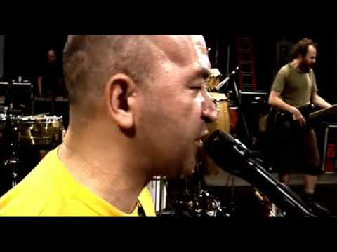 Nando Reis & Os Paralamas do Sucesso - Pétalas (2006)
