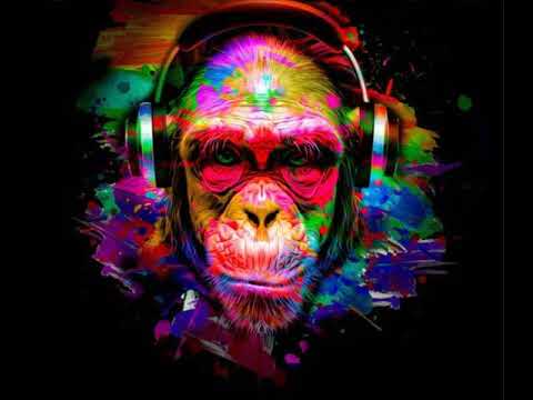Simina Grigoriu  - Techno Monkey (Paul Kalkbrenner Remix)