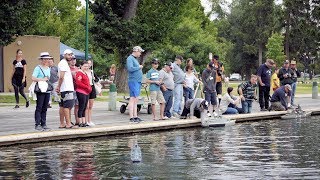 TF72 Fleet Base Victoria - Sail Day Compilation Jan18