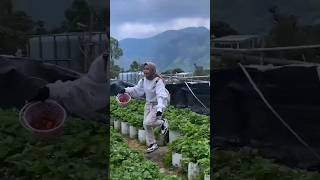 Download lagu joget los dikebun #shorts #tiktok #cantik #storywa #shortsvideo mp3 Download lagu joget los dikebun #shorts #tiktok #cantik #storywa #shortsvideo mp3