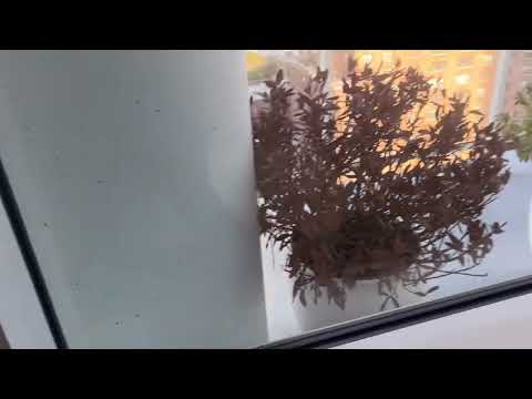 200 East 59th st 10C $1,975,000 977SF 1bed 1.5bath