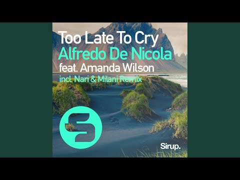 Too Late to Cry (Original Club Mix)