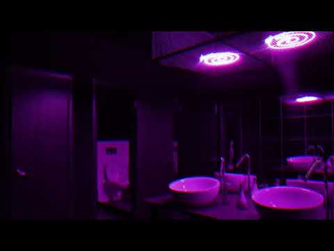 Clean de Jules, Kuzz y Godo Pero Estas En El Baño De Un Club