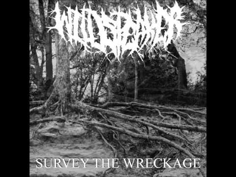 Wildspeaker - Survey The Wreckage