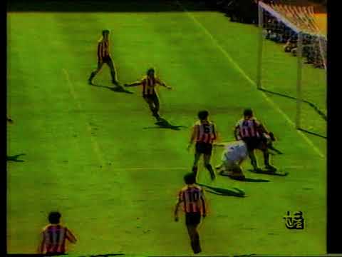 Real Madrid 1 0 Logroñés - Liga 1988-89